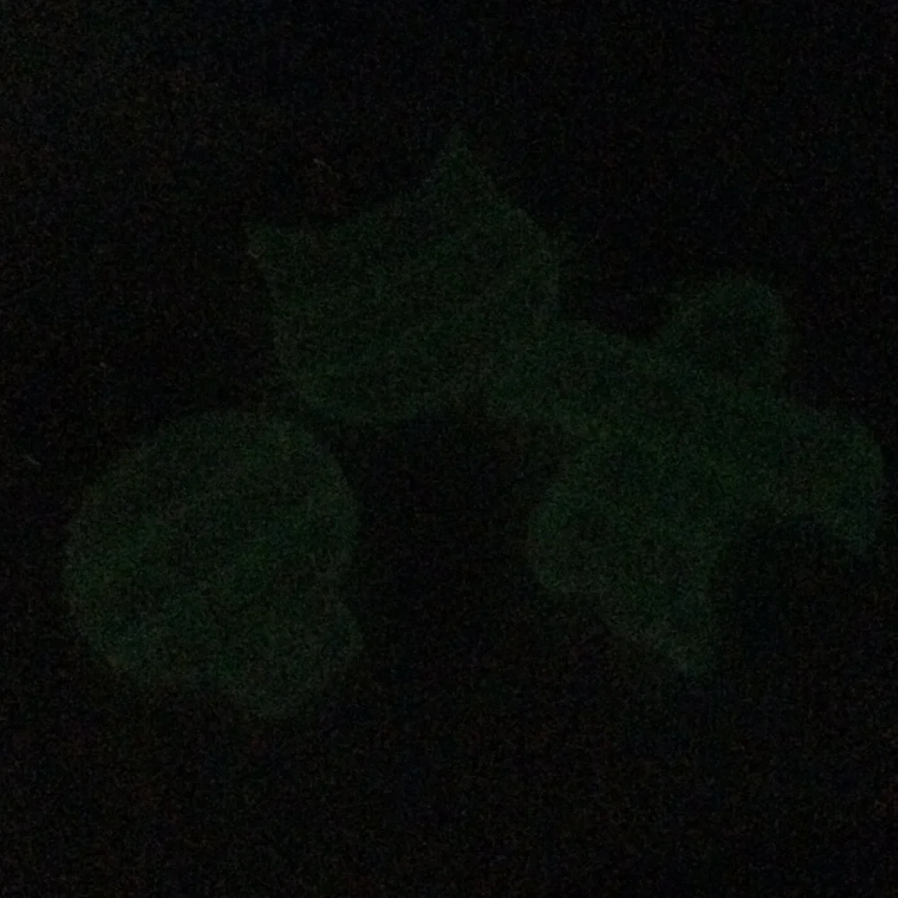 New 3 KeyChine Glow in the dark